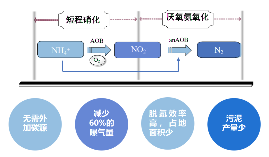 J9游戏(中国)-官方网站