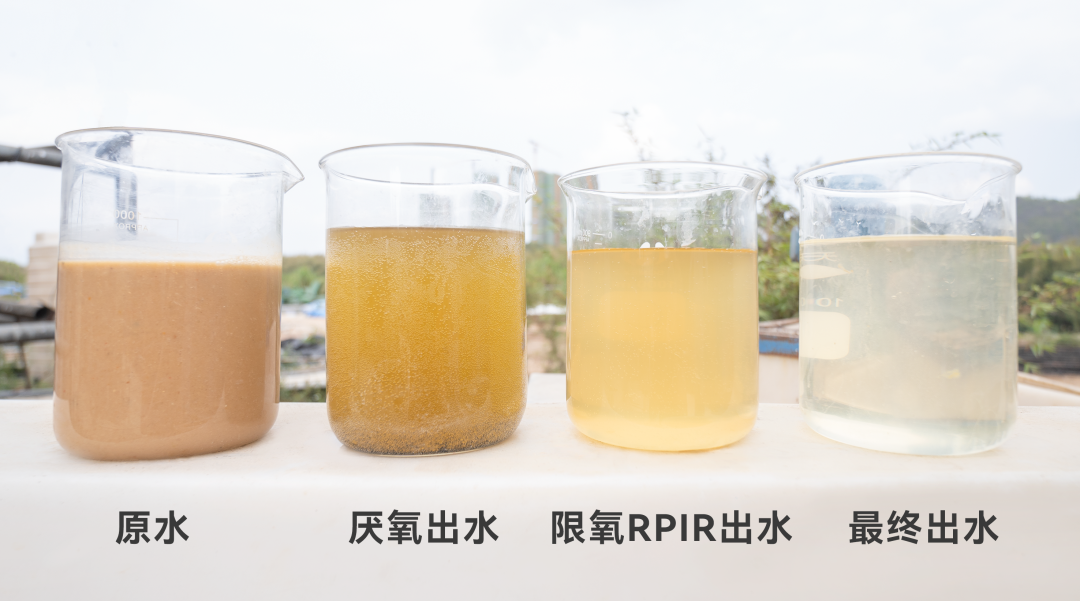 J9游戏(中国)-官方网站