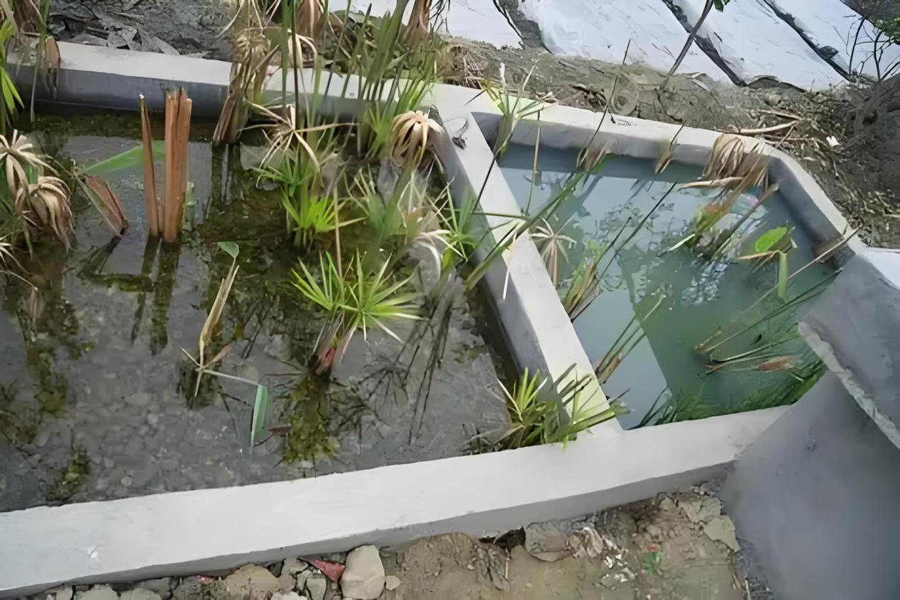 J9游戏(中国)-官方网站