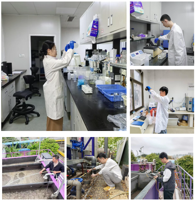 J9游戏(中国)-官方网站